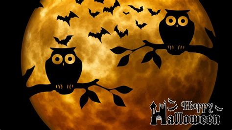 Halloween Owl Wallpapers - Wallpaperboat