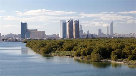 Explore Abu Dhabi's natural mangrove forests | Jumeirah