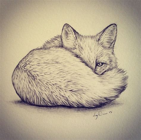 arctic fox tattoo - Google Search | Cute fox drawing, Sketches, Fox tattoo