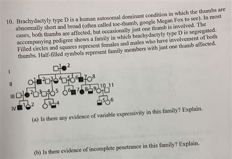 Solved 10. Brachydactyly type D is a human autosomal | Chegg.com