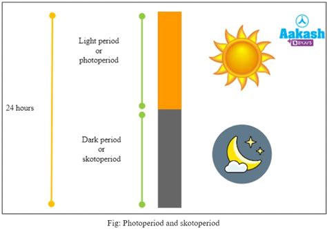 Photoperiodism: Meaning, Mechanism, induction & Types | AESL