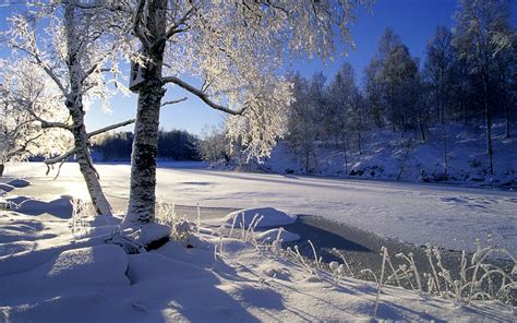 Winter Windows 7 Theme | WindowsObserver.com