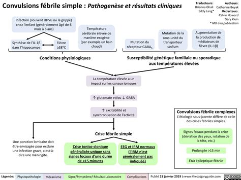 Convulsions fébrile simple : Pathogenèse et résultats cliniques ...