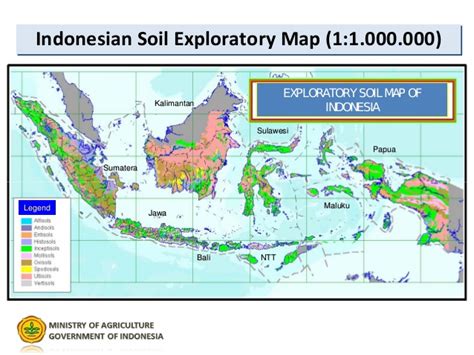 Tanah dan Sebarannya di Indonesia - Kumpulan Soal