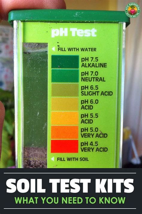 10 Best Soil Test Kit Types: Which To Buy? | Soil testing, Soil, Soil ...