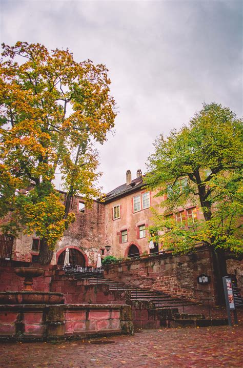 The magic of Heidelberg castle! - | Castle, Palace garden, Heidelberg