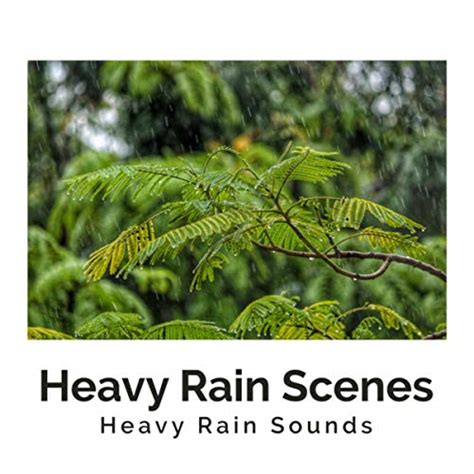 Amazon.com: Heavy Rain Scenes : Heavy Rain Sounds: Digital Music