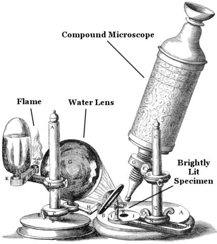 Cell Theory timeline | Timetoast timelines