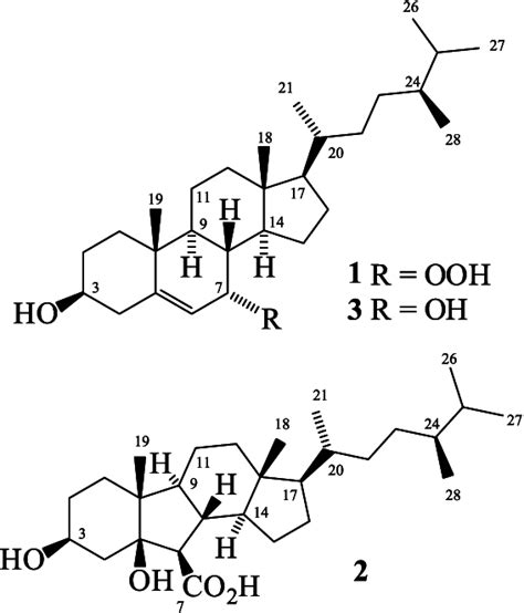 Chemical structures of the sterols 1-3. | Download Scientific Diagram