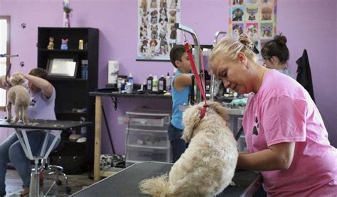 Happy Tails Pet Grooming Salon moves to larger facility | Business | goshennews.com