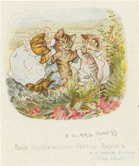 The tale of Tom Kitten | Beatrix potter illustrations, Beatrice potter, Peter rabbit and friends