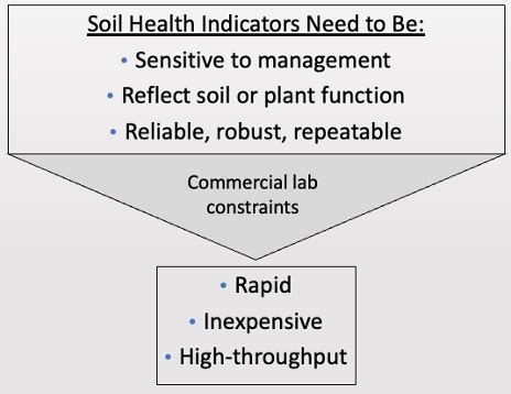 What makes a good soil health indicator? | Soil Health | Washington ...