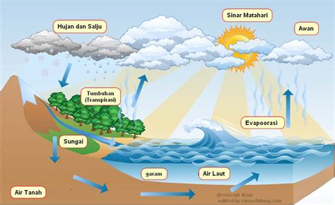 Siklus Air Pengertian Urutan Proses Siklus Hidrologi Dan Gambarnya | Images and Photos finder