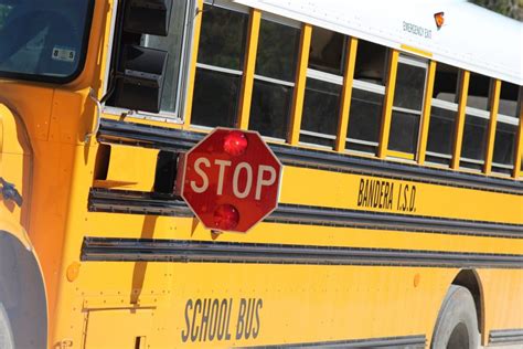 7 Reasons Why School Buses Don't Have Seat Belts - The News Wheel