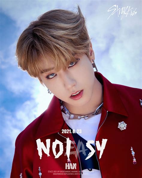 Membrii Stray Kids sunt bad boys în teaserele pentru „NOEASY” | K-POP ...