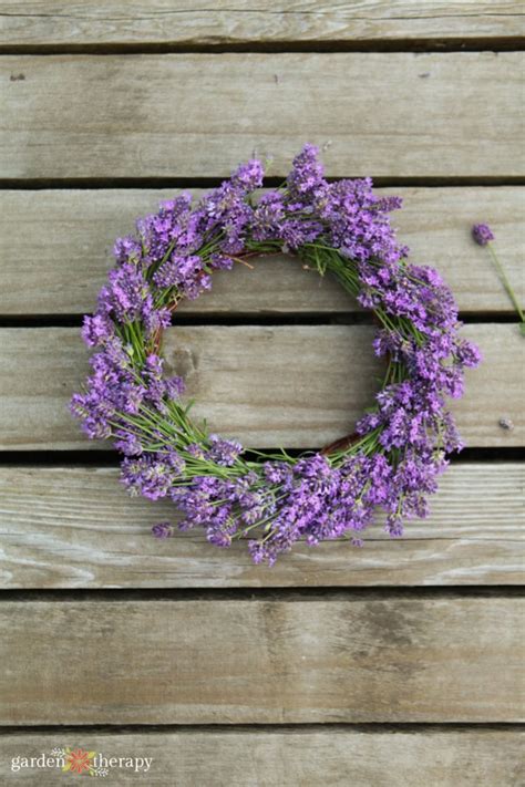 DIY Lavender Wreath That Dries Beautifully! - Garden Therapy