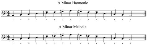 Accordion Bass Scales Am Harmonic - George Whitfield