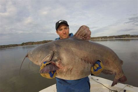 Largest freshwater fish ever caught - xolerdaddy