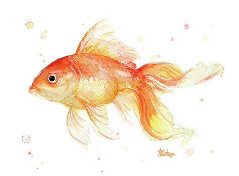 Goldfish Painting Watercolor Painting by Olga Shvartsur - Fine Art America