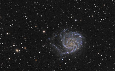 Messier 101 (Pinwheel Galaxy) – Schafer Astrophotography