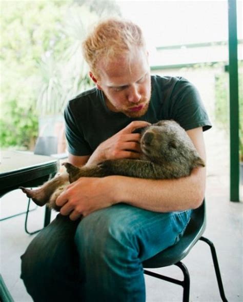 Pet Wombat (9 pics)