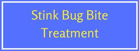 Stink Bug Bite Pictures: Symptoms & Treatment