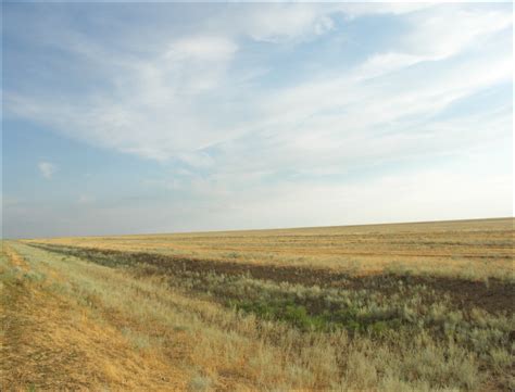 Kazakh Steppe - Alchetron, The Free Social Encyclopedia