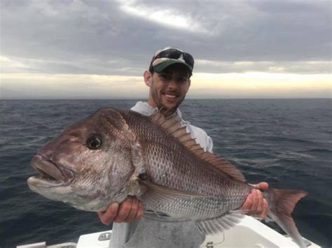 Narooma Fishing Charters | Montague Island Adventure