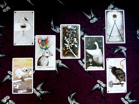 A full moon tarot reading - Little Red Tarot