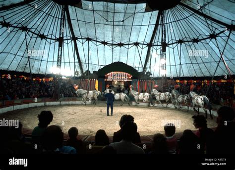 Inside the circus Big Top Stock Photo - Alamy