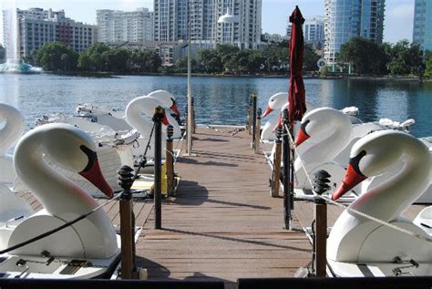 City closing Lake Eola Swan Boats for upgrades - Orlando-News.com