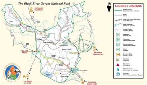 Black River Gorges National Park ultimate guide [with hiking map] - MEL365.com - Travel ...