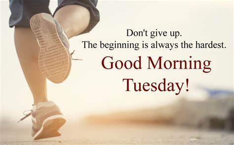 Good Morning Happy Tuesday Quotes