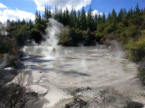 Two Days in Rotorua, New Zealand - Mud Pools, Geothermal Springs, and ...