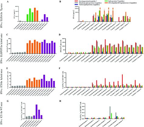 T cell epitope peptide cocktail vaccines elicited robust CD8 + T cell ...