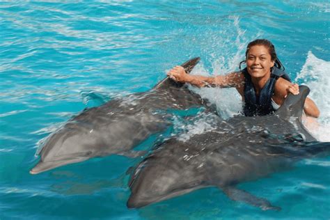 dorsal_fin_ride_oahu - Swimming with Dolphins 1-800-667-5524