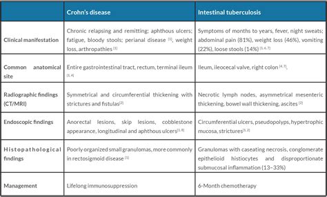 A Case of Intestinal Tuberculosis Mimicking Crohn’s Disease: A Clinical and Diagnostic Dilemma