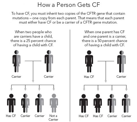 Cystic Fibrosis (CF) - with Dr. Scott Donaldson | Department of Medicine