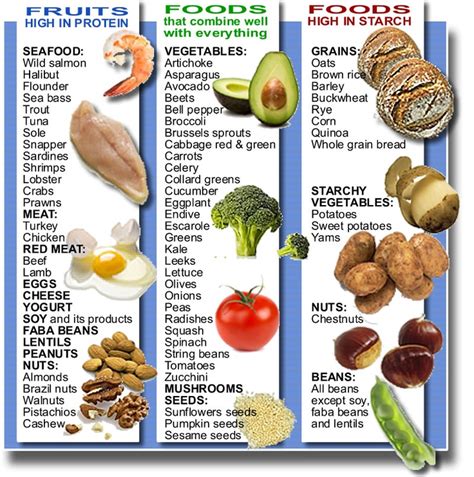 Different Types Of High Protein Diets - Nectur