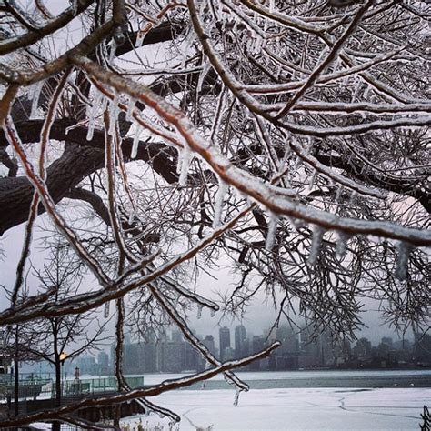 Events in toronto: Photos of the 2013 Toronto ice storm