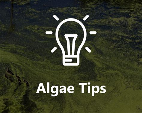 Algae Control - Application Guide - Advanced BioTech