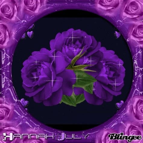 Purple Roses Picture #131523020 | Blingee.com