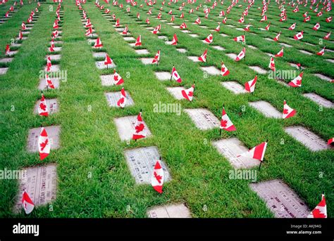 Fallen Canadian Soldier Stock Photos & Fallen Canadian Soldier Stock ...