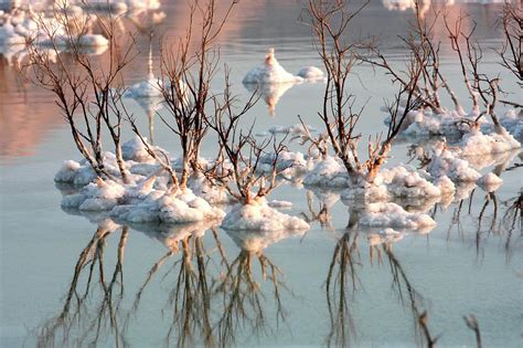 Dead Sea Salt Formation Photograph by Photostock-israel/science Photo Library - Fine Art America