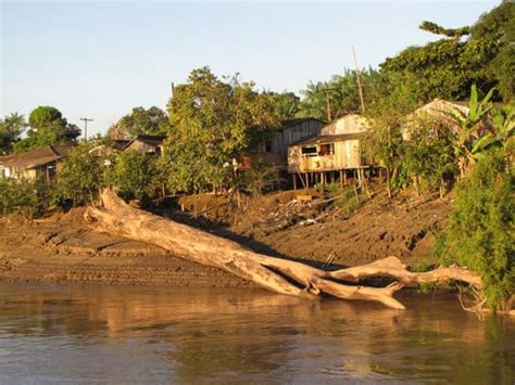 AMAZON WATCH » The Madeira River Complex, Brazil and Bolivia