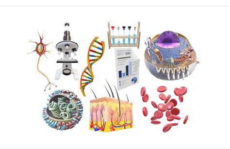 Research — Biomedical Engineering at UTSW