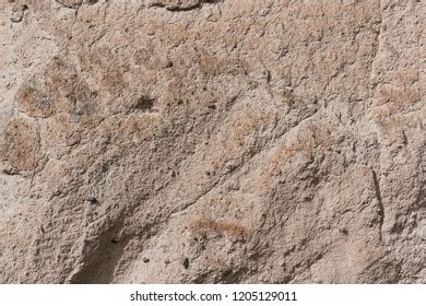 Volcanic Tuff Rock Texture Stock Photo 1205129011 | Shutterstock