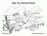 Free Biome Coloring Pages  Home sketch template