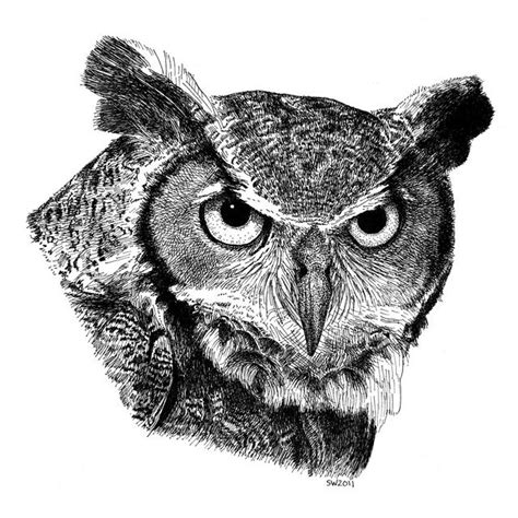 Great Horned Owl | Owls drawing, Ink pen drawings, Owl