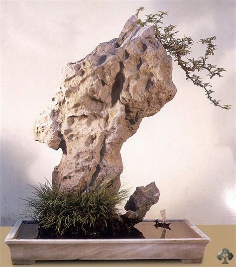 50 best images about Chinese Penjing Landscapes + Japanese Tray Bonsai Gardens on Pinterest ...